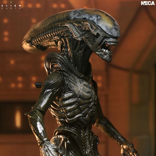 Alien Earth Wendy Xenomorph Ultimate Action Figure - Imagen 4