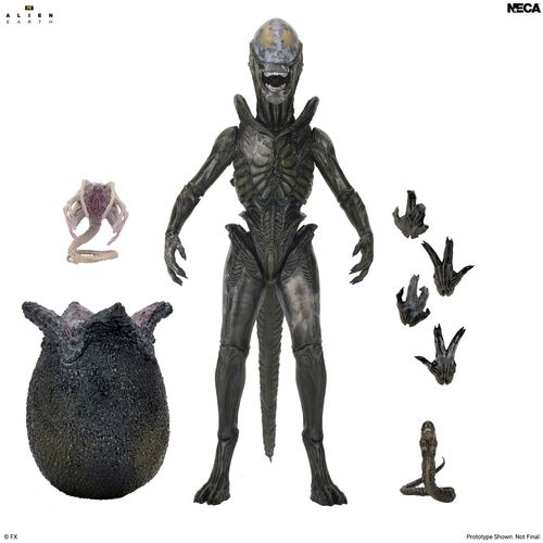 Alien Earth Wendy Xenomorph Ultimate Action Figure - Imagen 2