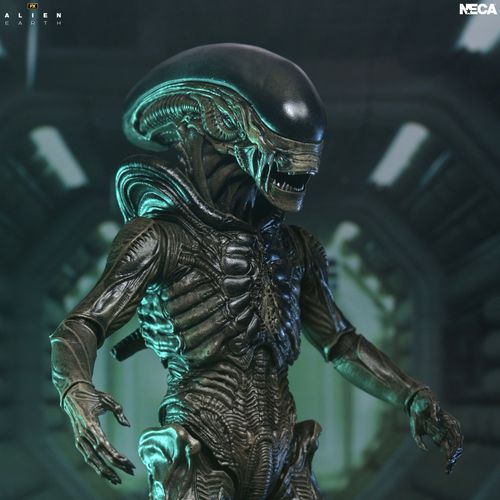 Alien Earth Xenomorph Ultimate Action Figure - Imagen 4