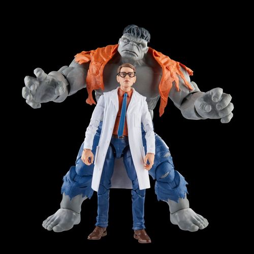 Hasbro Marvel Legends Series Gray Hulk and Dr. Bruce Banner - Imagen 4
