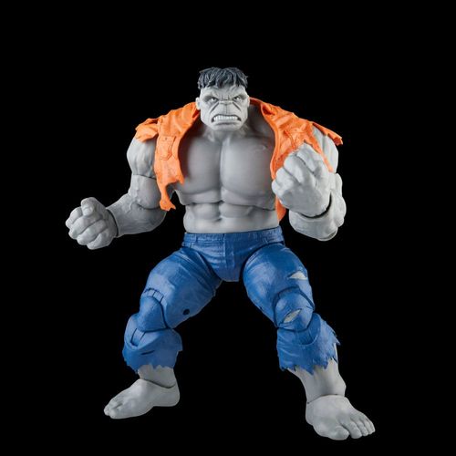 Hasbro Marvel Legends Series Gray Hulk and Dr. Bruce Banner - Imagen 3