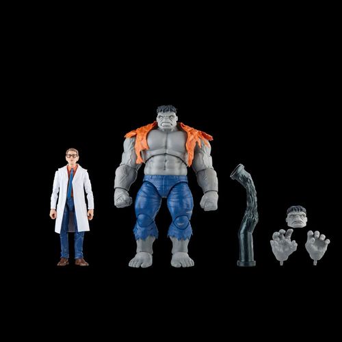 Hasbro Marvel Legends Series Gray Hulk and Dr. Bruce Banner - Imagen 12
