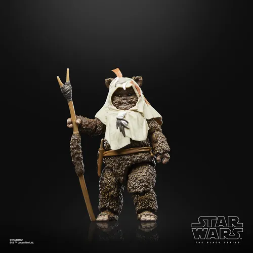 Star Wars The Black Series Paploo 40th - Imagen 4