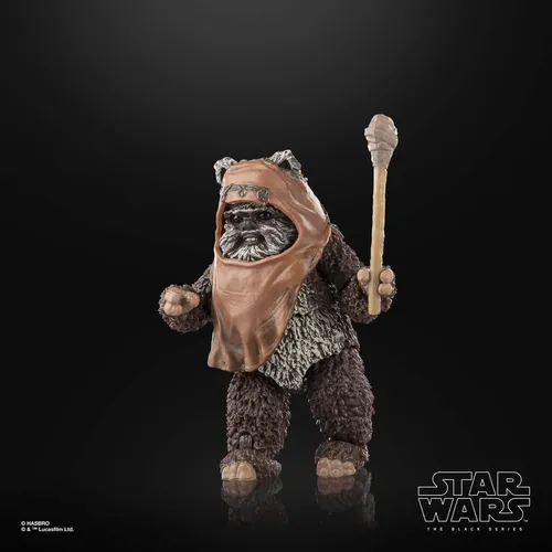 Star Wars The Black Series Wicket W. Warrick - Imagen 10