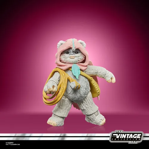 Star Wars The Vintage Collection Wicket & Kneesaa - Imagen 5