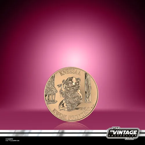 Star Wars The Vintage Collection Wicket & Kneesaa - Imagen 18